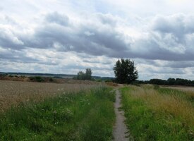 někde tady v polích nad vsí