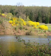 Šli jsme chvíli podél ní