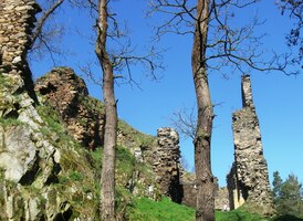 a nad nimi v lese tato zřícenina