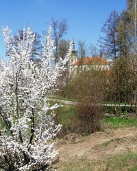 S bílou dekorací je ještě krásnější