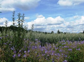 malebným krajem Plzeňska