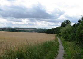 Signalizovaný pomník jsme ale nenašli