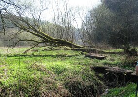 Příroda tu má ale nad civilizací převahu