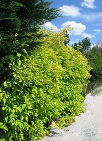 Den se po všech stránkách vyvedl