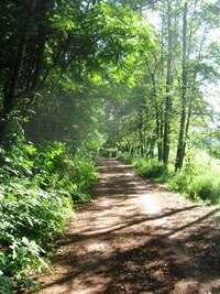 SO 23.7.2011 Startujeme v Třemošné