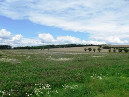 Vychutnáváme poslední chvíle