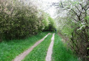 a vrháme se do lužních plání