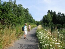 NE 24.7. Poslední den startujeme ze zastávky Bolevec ,