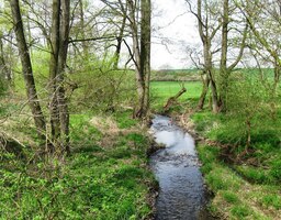 Cesta vede a potok teče do vsi Čižice