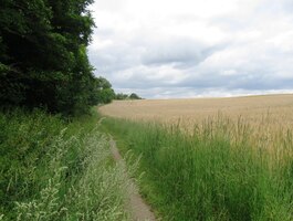 a tak se jen kochali krásou krajiny