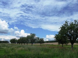 této báječné akce