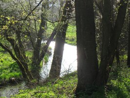 Ano, uhodli jste, je to Üslava