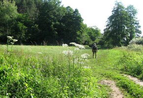 a míříme k řece Třemošné