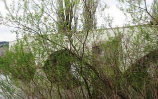 Gotický most přes Radbúzu