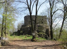 Nad Zdemyslicí je tato zřícenina