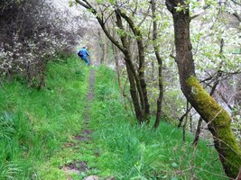 a Tomáš zděšeně prchajícího ženicha