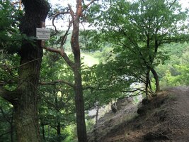 Tady už ale začíná "Machalova kozí stezka"