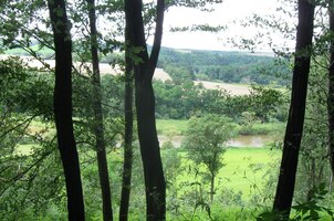 do rozlehlých luk kolem řeky