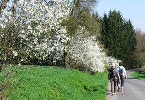 opět v zajetí květů jara