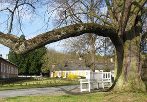 Vše je tu nové a načinčané