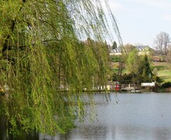 Správně! Nad rybníkem ční opravdu zámek - Kozel