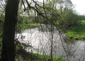 Kde se vzala, tu se vzala řeka