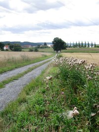 Dole pod námi je obec Nynice