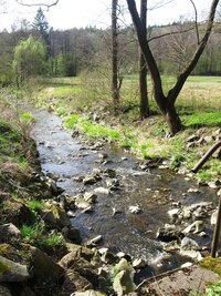 v rezervaci Kornatického potoka