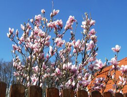 Tady jsme se občerstvili