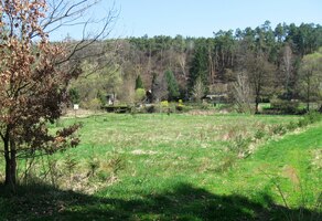 a okolní louky jsou velké a šťavnaté