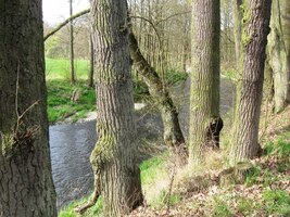 Naše Úslava! Tekla si úplně jinudy