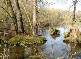 Tohle je ale prales na rybníce