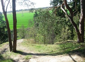 Tráva už se všude zelenala