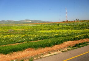 které proměnily poušť na kvetoucí zahradu