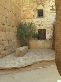 a zde potomek keře, ze kterého mluvil Bůh k Mojžíšovi