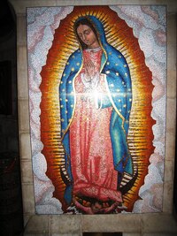 avšak blesk fotoaparátu obnaží jejich barevnost