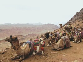 Tohle je ale obrázek jako od malíře Buriana