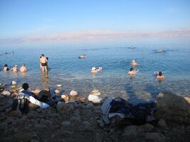 a pozorovat vodní hemžení je komické