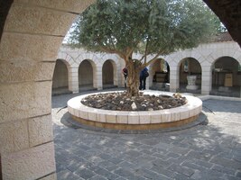 Patří německým benediktinům a jmenuje se klášter Sedmi pramenů