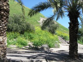 až k úpatí vrchu s akropolí města