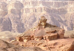 A největší místní rarita?