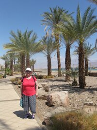 Je horko a palmy moc stínu neskýtají