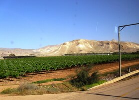 plné izraelských kolchozů - kibuců,