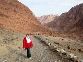 Jak se vám jelo na korábu pouště?