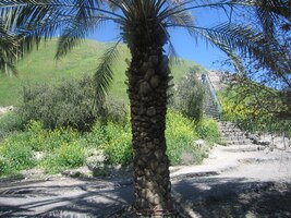 A zase dole - tentokrát s delším odpočinkem