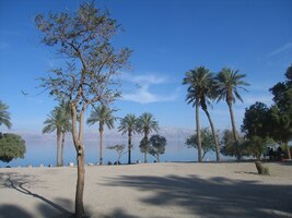 Nicméně, hurá od historie k dnešku!