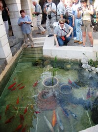 které tu onen zázrak připomínají