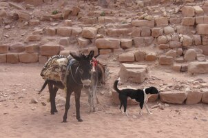 Převládá tu pohoda, však pohleďte!