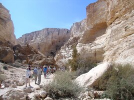 Údolí wádí Zin ovšem stojí za to