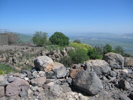 Saladin to ocenil a nechal je v plné zbroji odejít